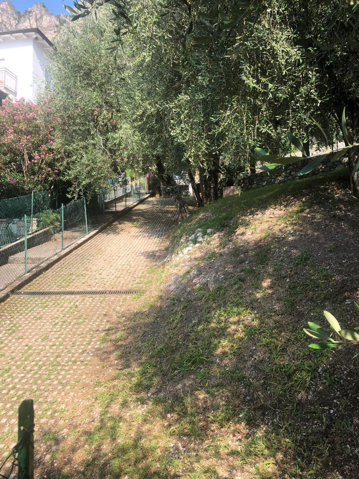 לימונה סול גרדה La Casa Sul Lago Apartments - Olive Tree Apartment מראה חיצוני תמונה